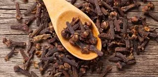 Wholesale Cloves Export