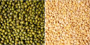 Wholesale Moong Bean Export