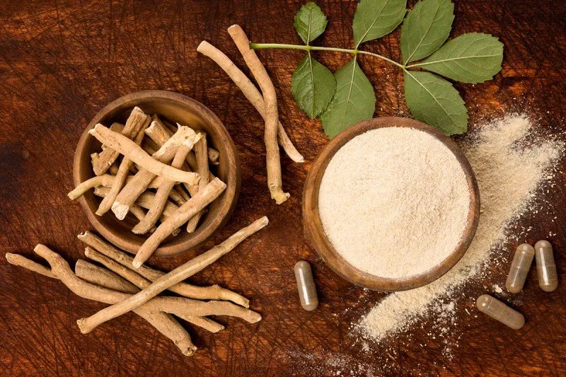 Bulk Ashwagandha Supply