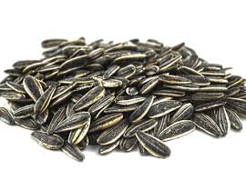 Wholesale Sunflower Seeds Export