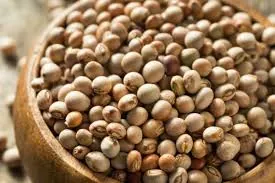 Wholesale Pigeon pea Supplier Export Quality Pigeon pea