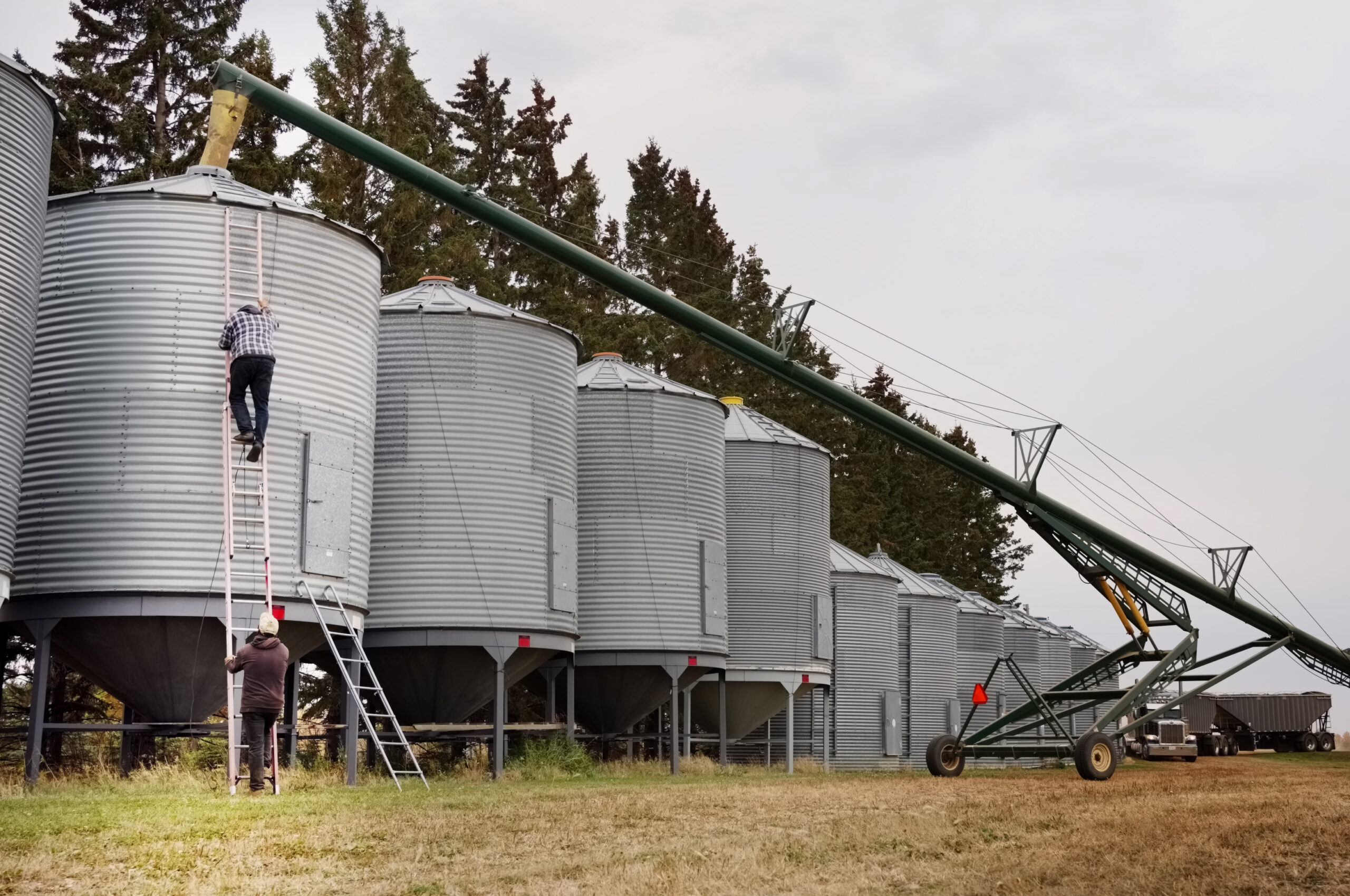 Bulk Agriculture
