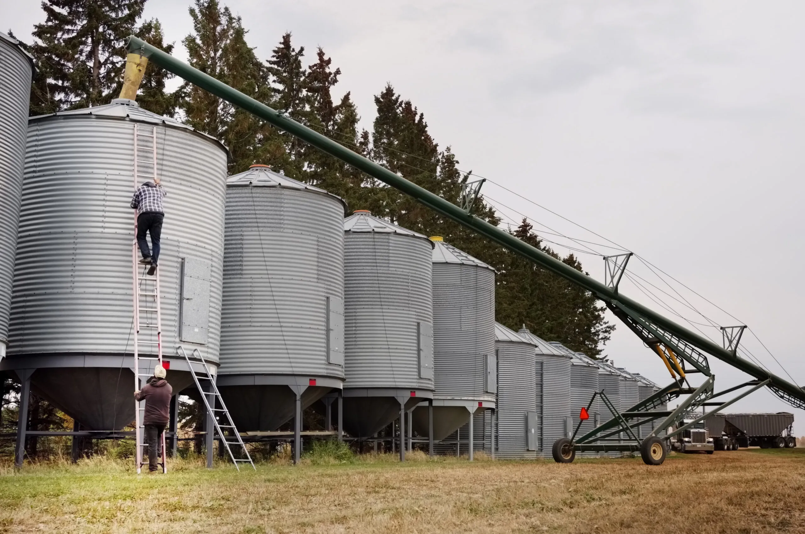Buying Agricultural Commodities in Bulk