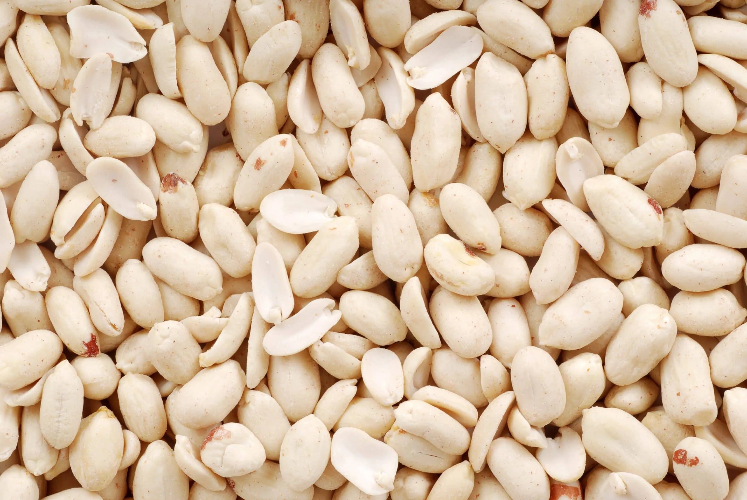 Wholesale Blanched Peanut Export