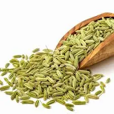 Bulk Fennel Seeds Supply