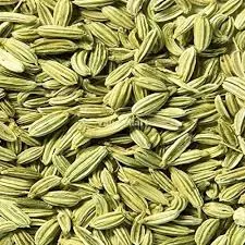 Wholesale Fennel Seeds Export