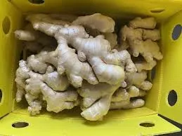 Bulk Ginger Supply