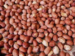 Wholesale Peanuts Export