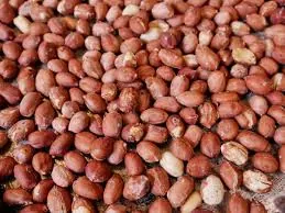 Wholesale Peanuts Export
