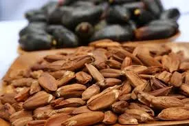 Bulk Pili Nuts Export Supplier