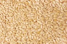 Wholesale Sesame Seeds Export