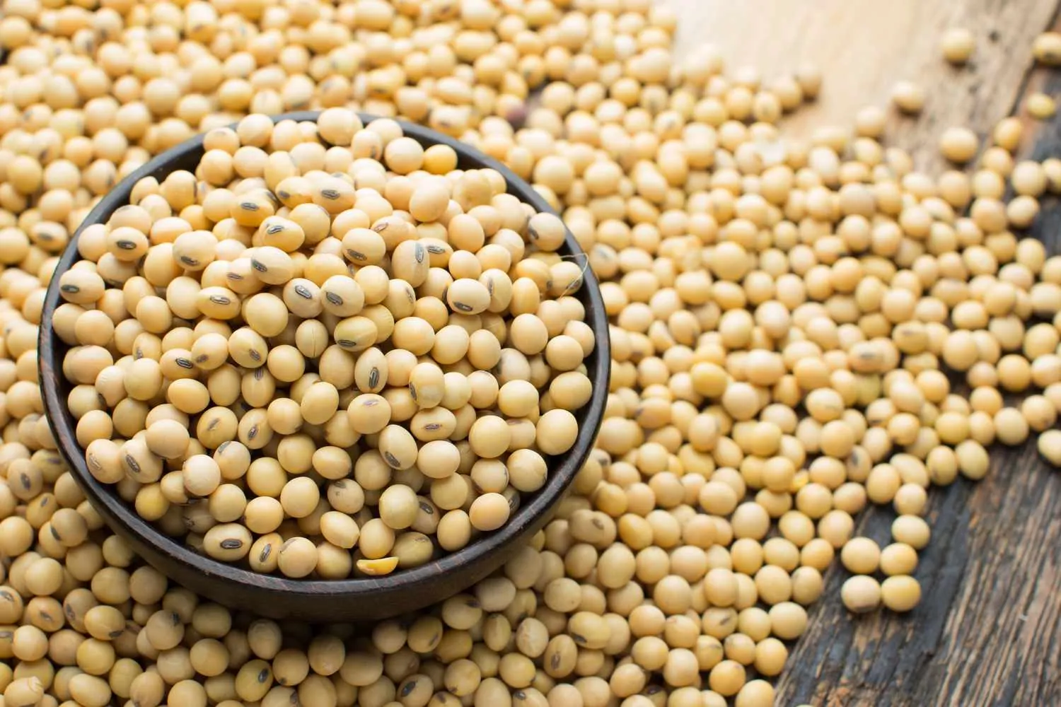 Bulk Soybean Supply