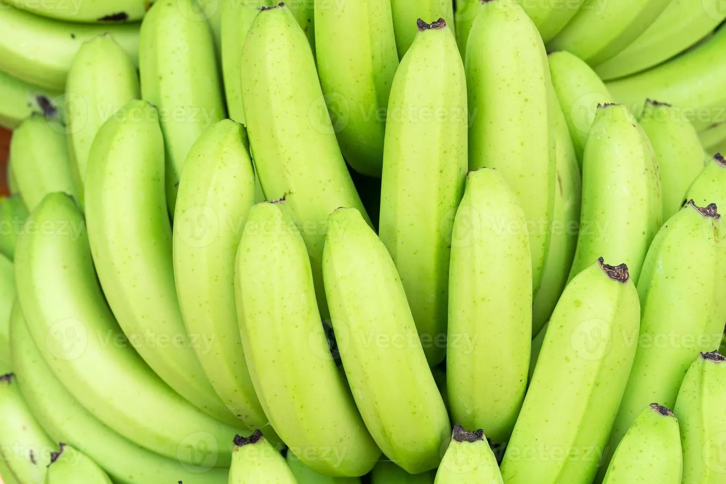 Wholesale Cavendish Banana Supplier Export Quality Cavendish Banana