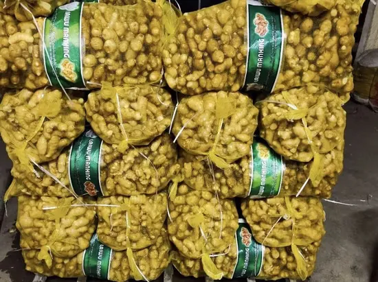 Bulk Ginger Exportation from the Philippines