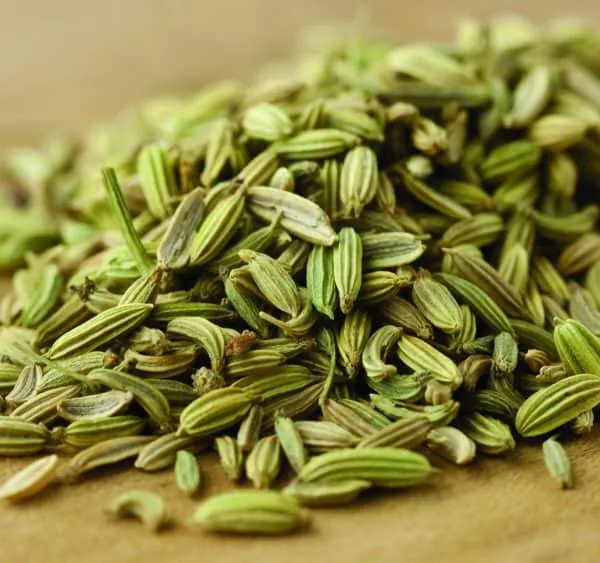 Wholesale Fennel Supplier Export Quality Fennel