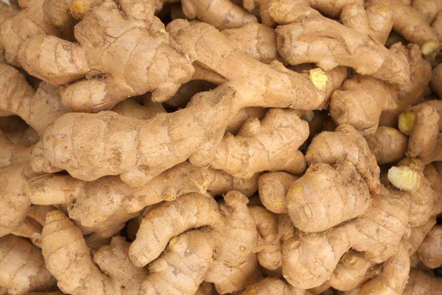 Wholesale Ginger Supplier Export Quality Ginger