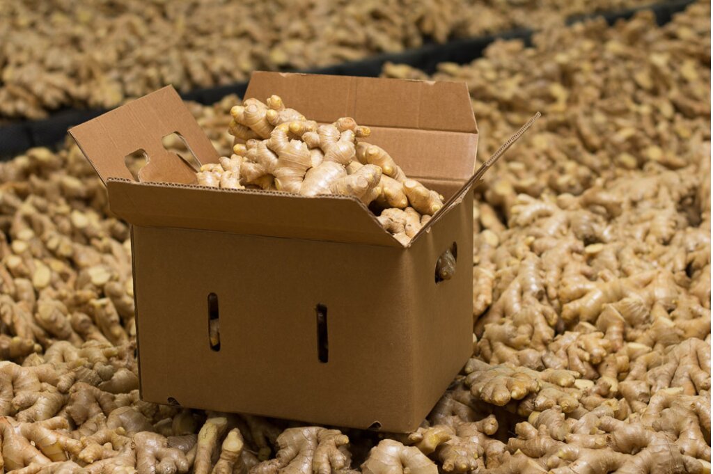 Export Ginger to New Zealand