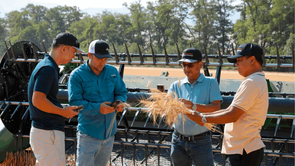 Grain Markets