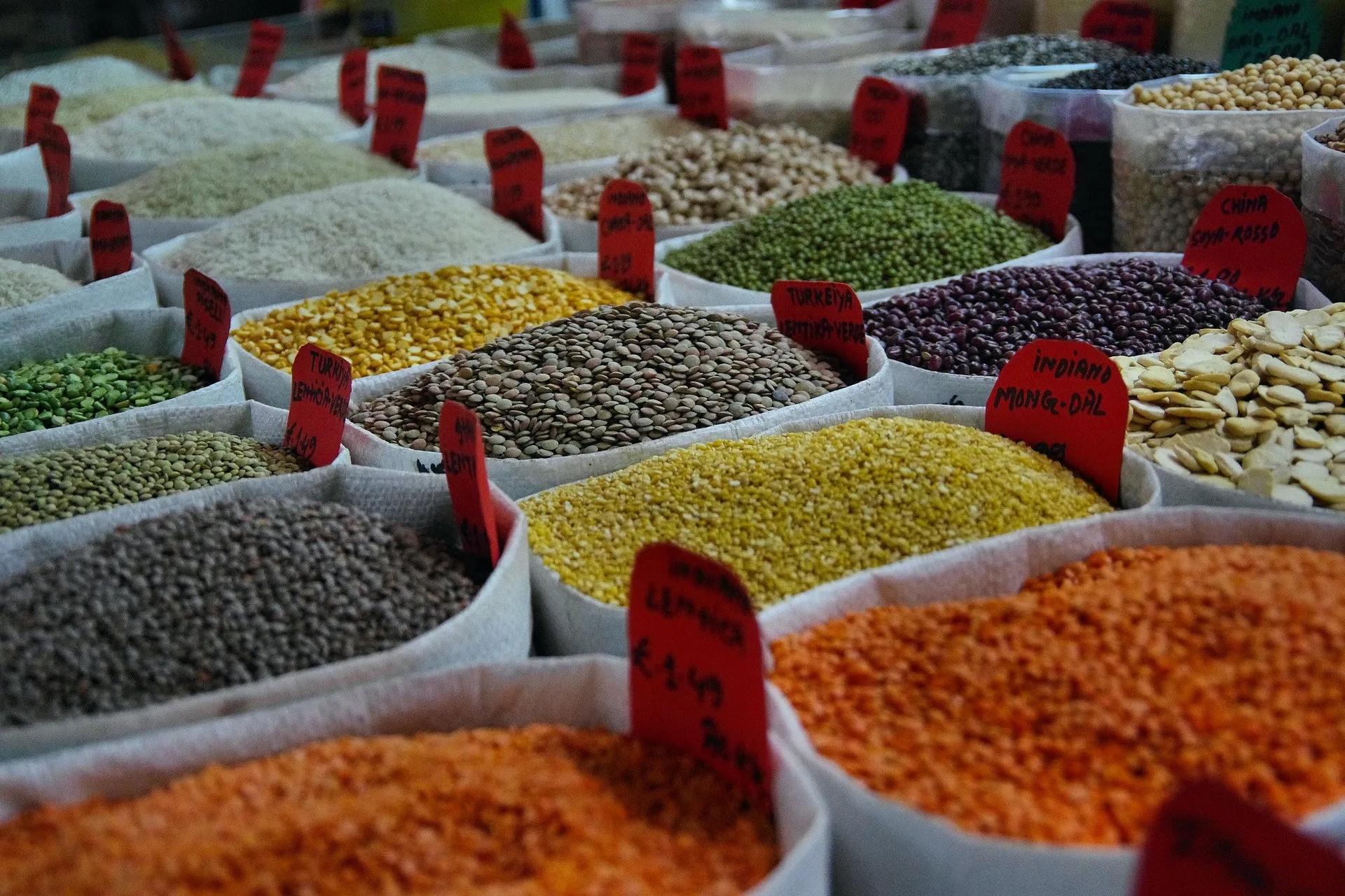 Agricultural Export Products