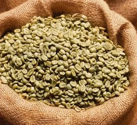 Green Robusta Coffee Beans