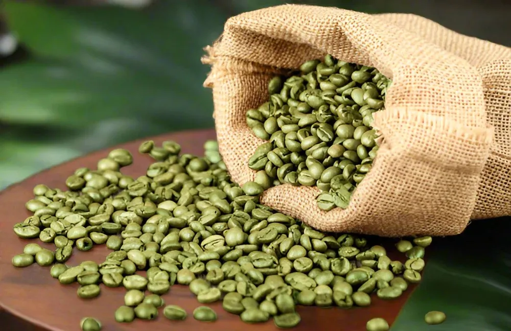 Green Arabica Coffee Beans Wholesale