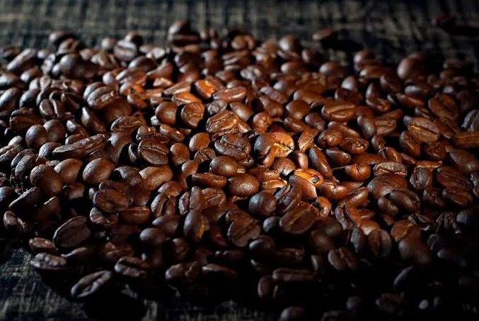 Kenya AA Coffee Beans Supplier