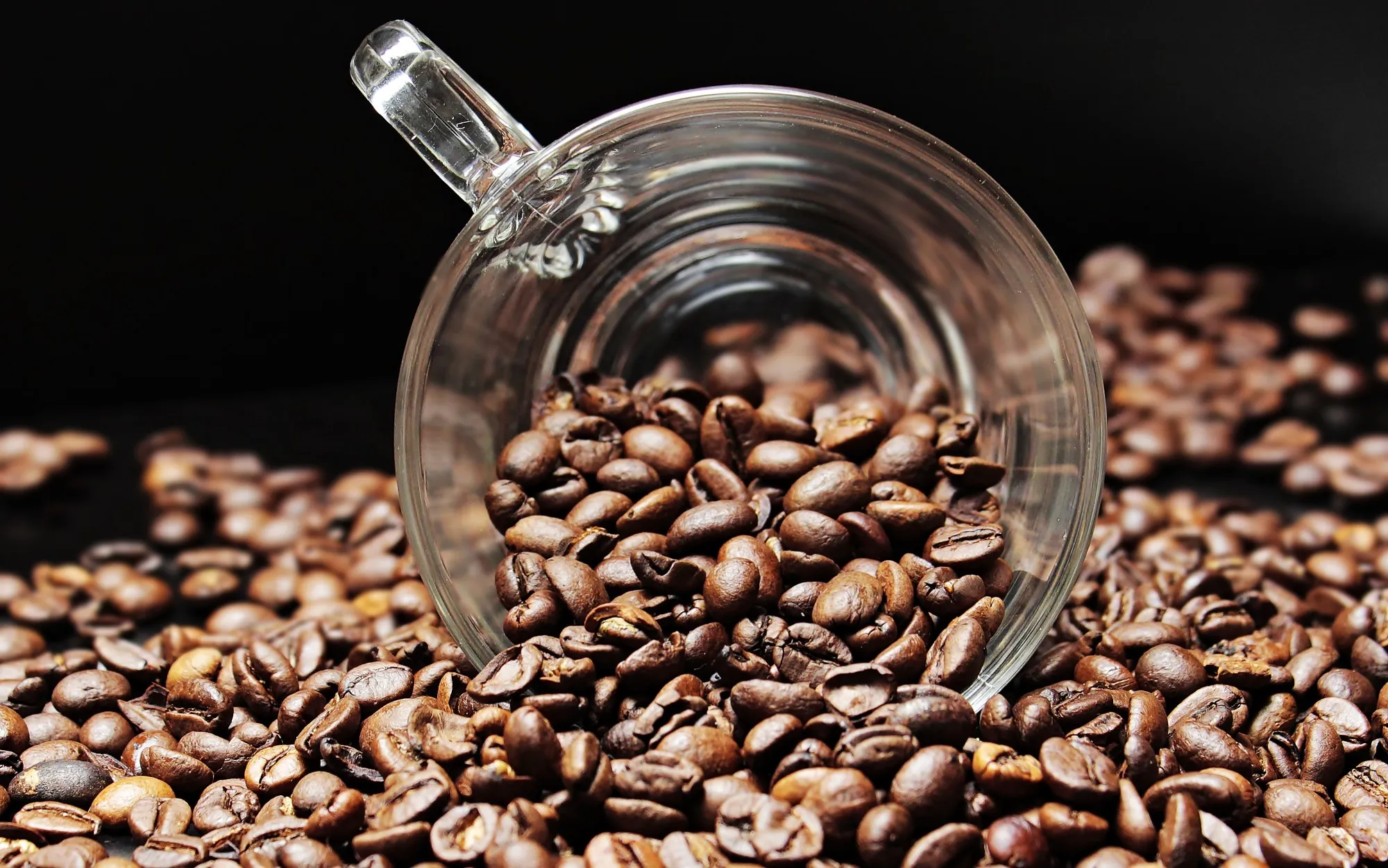 Buy Kenya Arabica Coffee Beans Wholesale