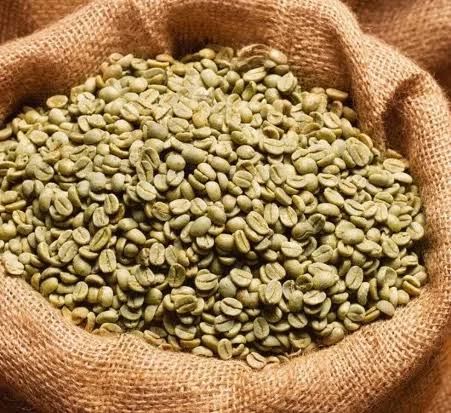 Coffee Export Kenya