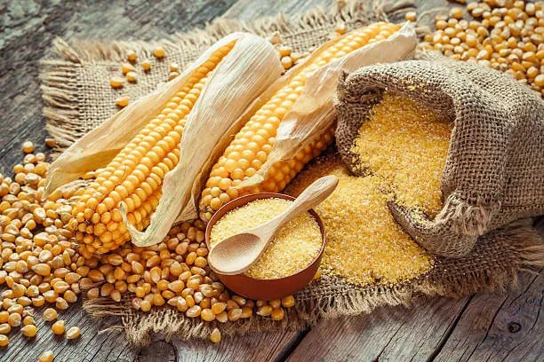 Maize - Global Agro Wholesale