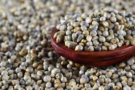 Wholesale Millet Supplier Export Quality Millet