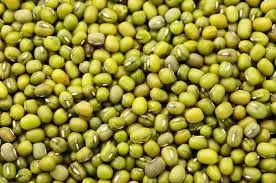 Wholesale Moong Beans Supplier Export Quality Moong Beans