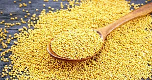 Wholesale Mustard Seed Supplier Export Quality Mustard Seed