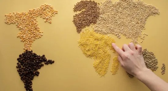 Global Agro Wholesale