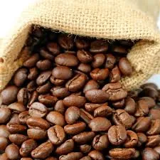 Kenya and Philippines Robusta Coffee Wholesale